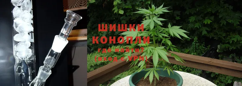 Бошки марихуана SATIVA & INDICA  Абаза 